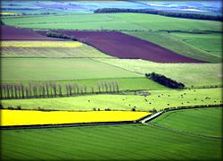 farm